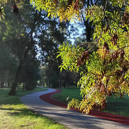 Five Stars Experience Bestern