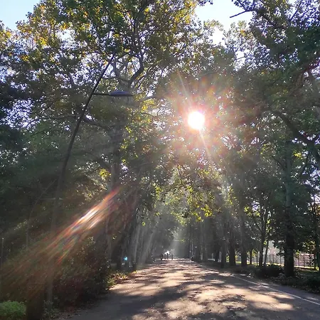 Five Stars Experience Bestern סגד