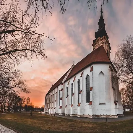 Apartament Five Stars Experience Bestern Seghedin